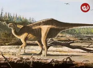 اسرار پنهان از ۱۲۵ میلیون سال پیش از دنیای این جانوران عظیم‌الجثه‌/ عجیب‌ترین سلاح دایناسور‌ها برای جذب جفت