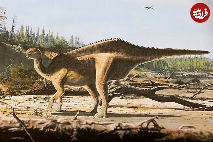 اسرار پنهان از ۱۲۵ میلیون سال پیش از دنیای این جانوران عظیم‌الجثه‌/ عجیب‌ترین سلاح دایناسور‌ها برای جذب جفت