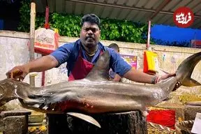 ببینید| روش خاص ماهی فروش هندی در برش زدن کوسه سرچکشی