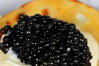 ۵۰ گرم خاویار چیزی معادل یک گرم طلای ۱۸ عیار!
