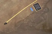 کشف اسکلتی با یک استخوان اضافی عجیب!