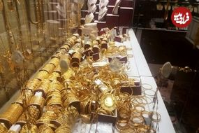 (ویدئو) سرقت از طلا فروشی ایرانی در کانادا با بیل!