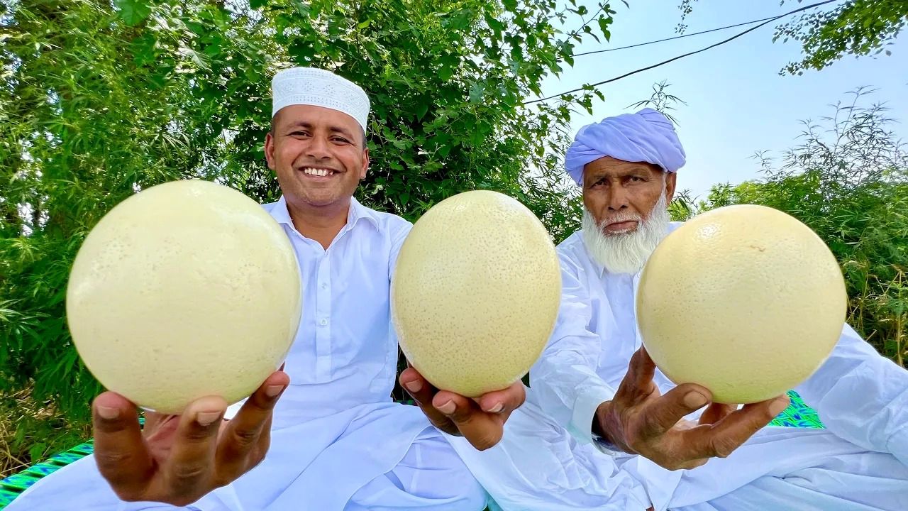 (ویدئو) پخت تماشایی املت تخم شتر مرغ 1.2 کیلوگرمی توسط آشپز روستایی پاکستانی