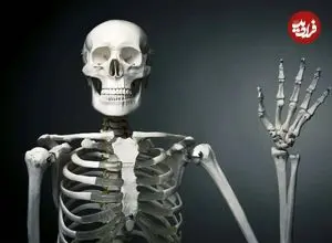 داشتن استخوان اضافی در انسان‌ها چقدر شایع است؟