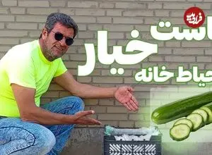 ببینید| آموزش ساده کاشت خیار در جعبه میوه و در حیاط خانه