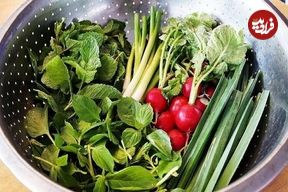 چطور سبزی‌ها را تازه نگه داریم؟ فوت‌وفن نگهداری سبزیجات