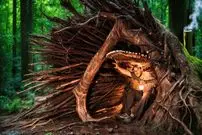 ببینید| ساخت یک پناهگاه مخفی داخل یک تنه درخت بزرگ در جنگل های آلمان