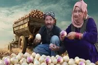 ببینید| غذای روستایی در افغانستان؛ پخت یک خوراک خاص با شلغم و گوجه