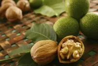 خریدوفروش گردو در این شهر ممنوع شد