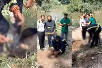 (ویدئو) تصاویر تکان‌دهنده از کشف جنین ۸ ماهه در رودخانه بابلسر

