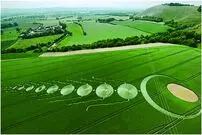 (عکس) نفوذ موجودات فرازمینی در مزارع گندم