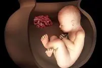 آیین عجیب تدفین ایرانیان باستان؛ دو جنین ۶۵۰۰ ساله در تپه چپرآباد ایران کشف شدند