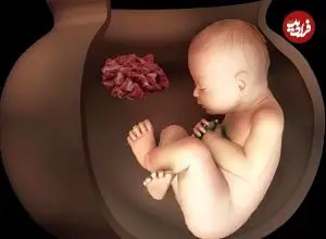 آیین عجیب تدفین ایرانیان باستان؛ دو جنین ۶۵۰۰ ساله در تپه چپرآباد ایران کشف شدند