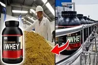 (ویدئو) از شیر تا عضله: پروتئین وی (WHEY) چگونه در کارخانه ساخته می شود؟