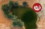 ببینید| رازی در دل شن‌های داغ؛ چشمه‌ای که خاموش نمی‌شود