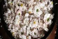 (تصاویر) گلاب روستای گیلده گیلان