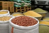 قیمت رسمی لوبیا چیتی اعلام شد؛ آخرین وضعیت بارها در بندر شهید رجایی