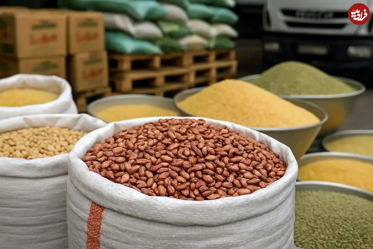 قیمت رسمی لوبیا چیتی اعلام شد؛ آخرین وضعیت بارها در بندر شهید رجایی