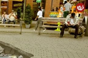 عکس؛ هنر خیابانی؛ شاهکار خلاقانۀ هنرمندی که «گرگ‌های خاکستری» را از «سنگفرش پیاده‌رو» بیرون آورده است