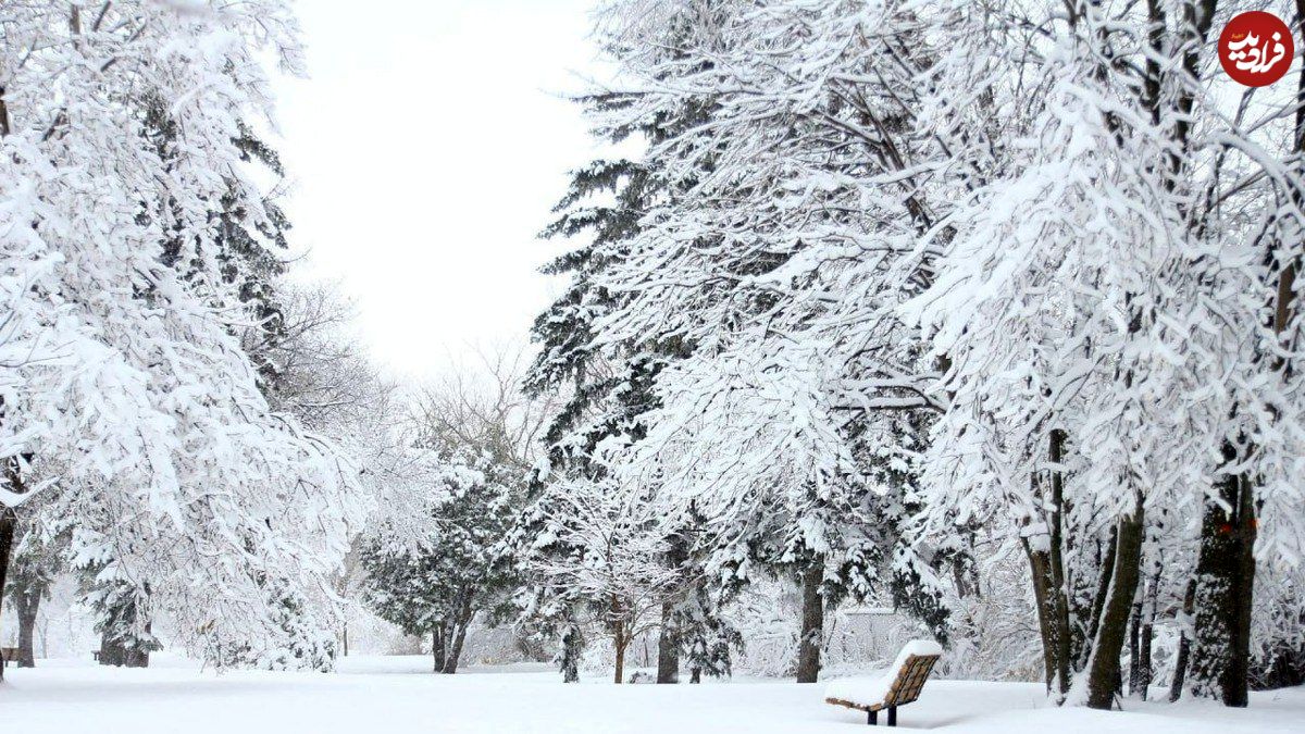 کشورهایی که هرگز برف به خود نمی‌بینند