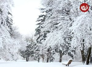 کشورهایی که هرگز برف به خود نمی‌بینند