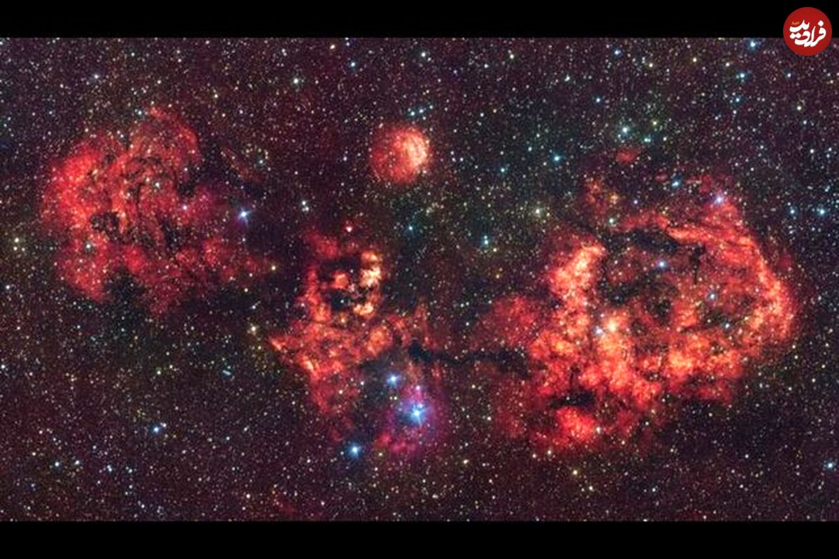 عکسی از خفاش هالووین در آسمان!