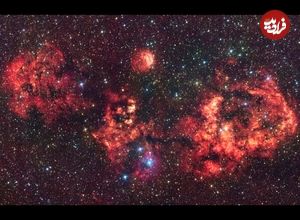 عکسی از خفاش هالووین در آسمان!