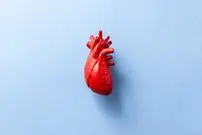 آیا اعضای اهداشدۀ بدن می‌توانند «شخصیت» را منتقل کنند؟ 