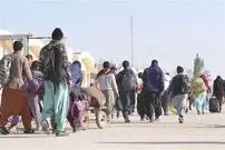 اتباع افغان با دور زدن قانون در ایران ملک می‌خرند؟