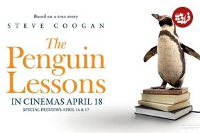 نقد و بررسی فیلم The Penguin Lessons؛ خوشحالم از این‌که ناراحتم