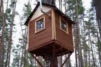 ببینید| مراحل ساخت یک خانه درختی در دل جنگل های امریکا