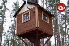 ببینید| مراحل ساخت یک خانه درختی در دل جنگل های امریکا