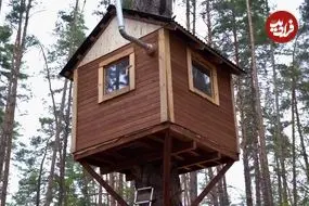 ببینید| مراحل ساخت یک خانه درختی در دل جنگل های امریکا