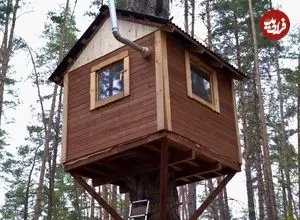 ببینید| مراحل ساخت یک خانه درختی در دل جنگل های امریکا