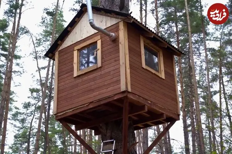 ببینید| مراحل ساخت یک خانه درختی در دل جنگل های امریکا
