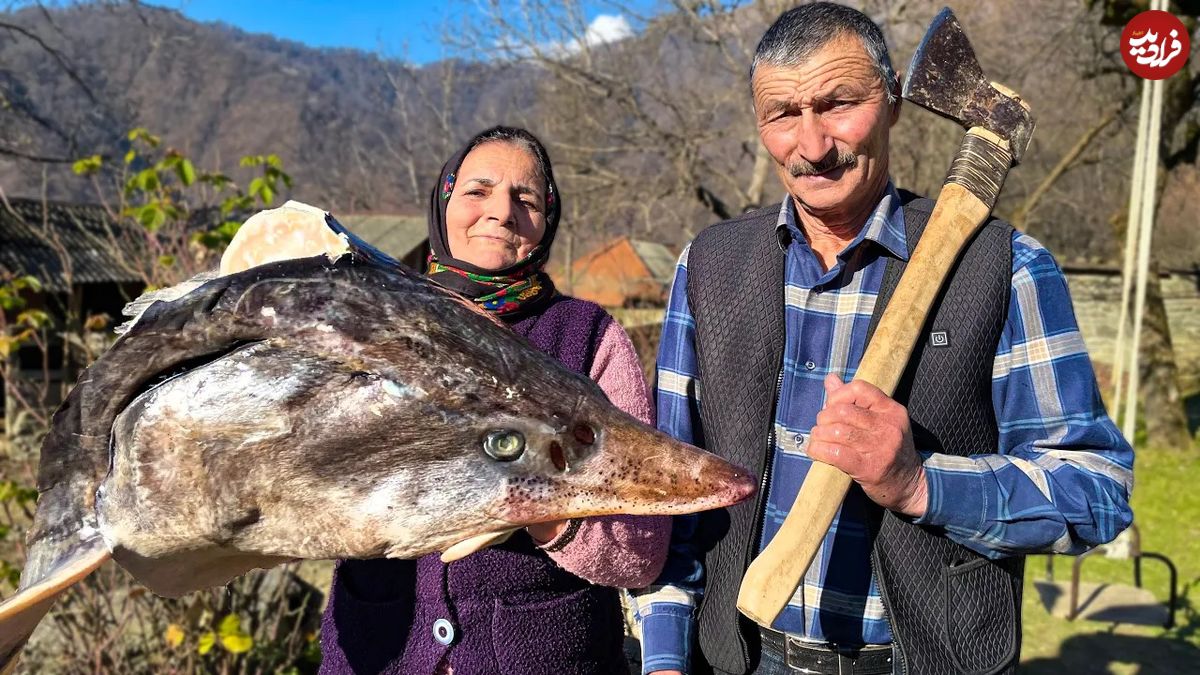(ویدئو) پخت سوپ سر فیل ماهی غول پیکر به روش روستانشینان آذربایجان