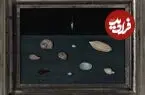 تابلویی که 30 دلار خریده شده بود، یک نقاشی یک میلیون دلاری از آب درآمد