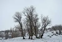 عکس؛ برف پاییزی دنا را سفیدپوش کرد