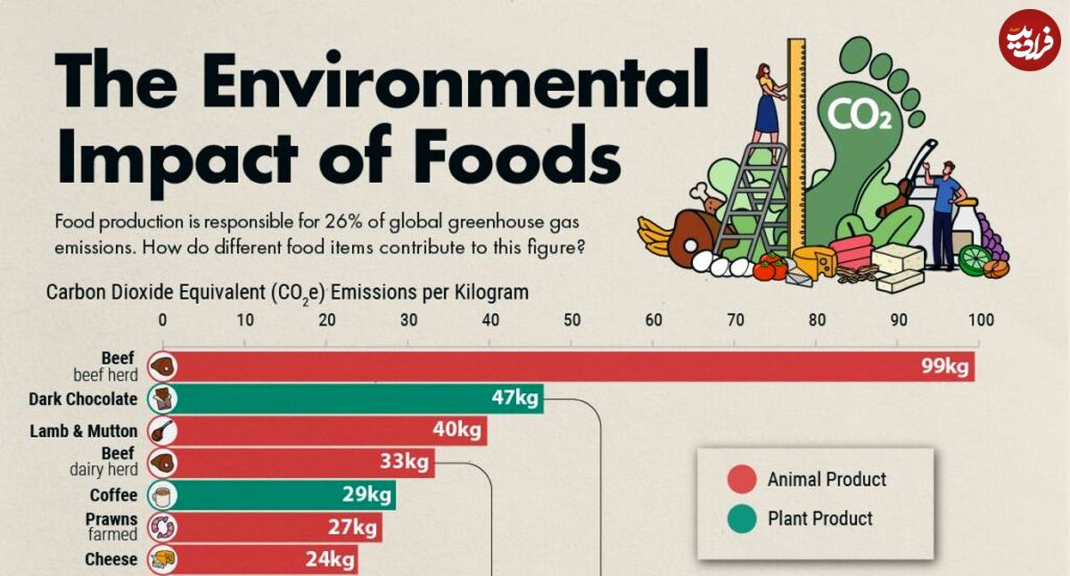(عکس) کدام مواد خوراکی بیشترین تأثیر منفی را بر محیط زیست می‌گذارند؟ 