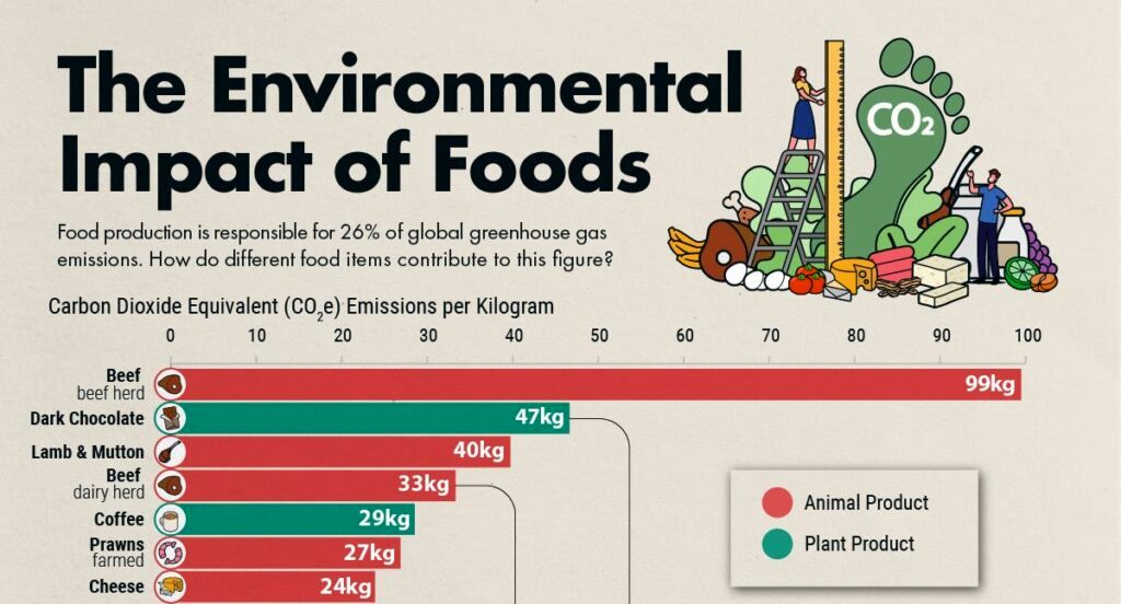 (عکس) کدام مواد خوراکی بیشترین تأثیر منفی را بر محیط زیست می‌گذارند؟ 