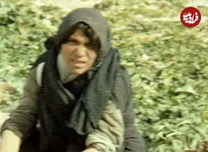 عکس| سفر زمان؛ رخت شستن زنان روستایی در جوی آب؛ سال 1346