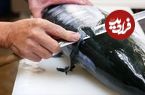 ببینید؛ غذای خیابانی در ژاپن؛ برش ماهی دم زرد و تهیه ساشیمی و خوراک در کانازاوا