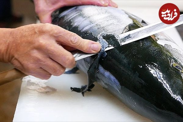 ببینید؛ غذای خیابانی در ژاپن؛ برش ماهی دم زرد و تهیه ساشیمی و خوراک در کانازاوا