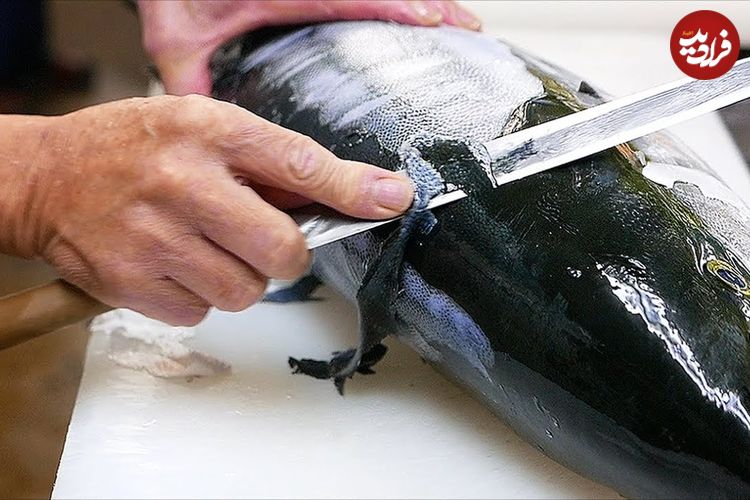 ببینید؛ غذای خیابانی در ژاپن؛ برش ماهی دم زرد و تهیه ساشیمی و خوراک در کانازاوا