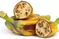 میوه های بدون دانه و هسته چطور تکثیر می شوند؟