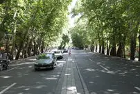 عکس| سفر به تهران قدیم؛ «خیابان ولیعصر و چنارهایش» در دهه 40