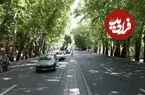 عکس| سفر به تهران قدیم؛ «خیابان ولیعصر و چنارهایش» در دهه 40