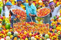 ببینید؛ غذای خیابانی در هند؛ تهیه یک دسر با سیب، هندوانه، توت‌، کیوی، انبه، پاپایا و جک‌فروت 