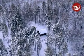 زندگی عجیب مردی که ۲۰ سال در سردترین جنگل جهان زندگی کرده است