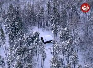 زندگی عجیب مردی که ۲۰ سال در سردترین جنگل جهان زندگی کرده است